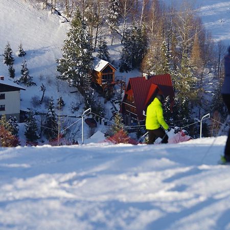 Ski House Szczyrk - Domek Na Kurzej Lapce 外观 照片