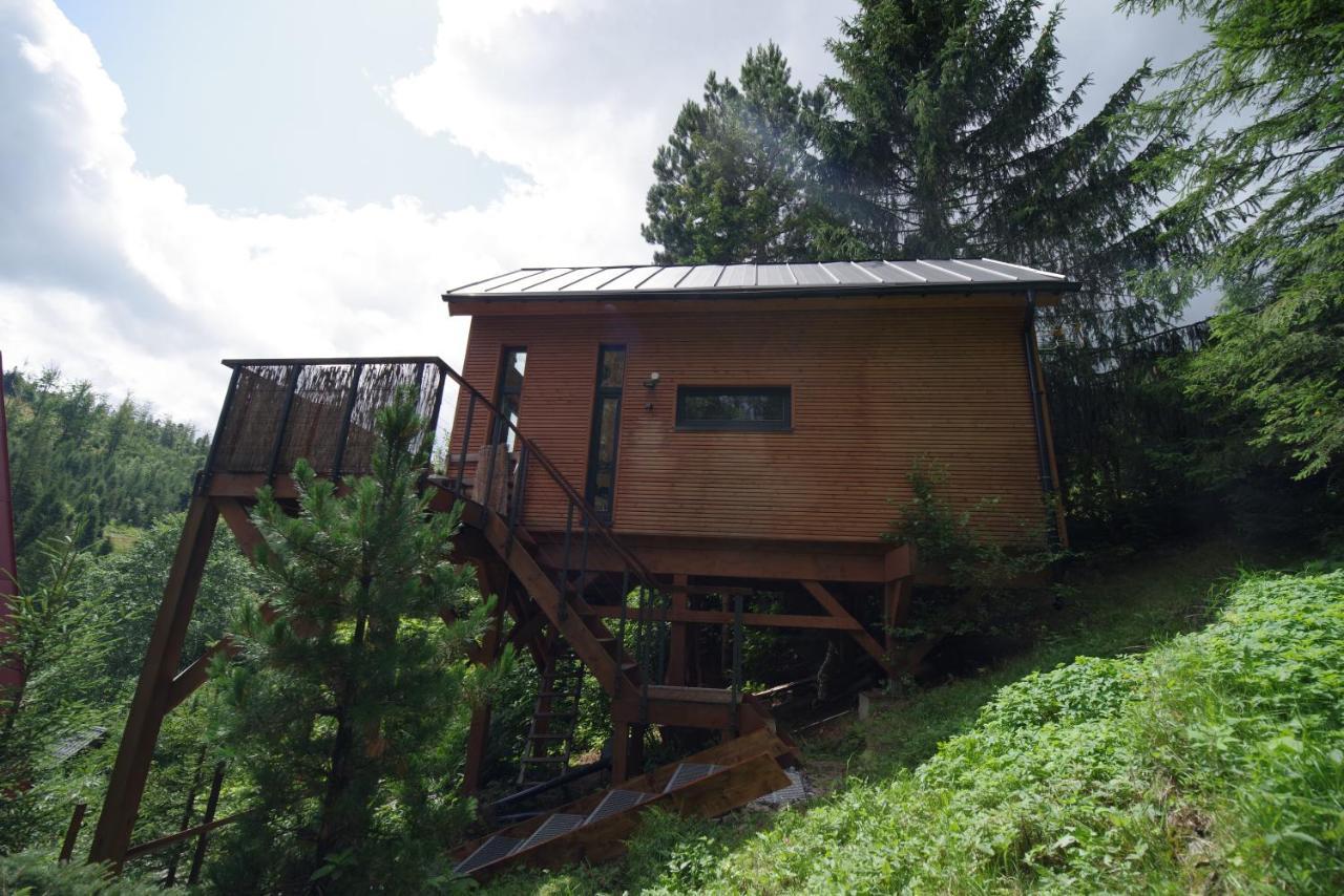Ski House Szczyrk - Domek Na Kurzej Lapce 外观 照片
